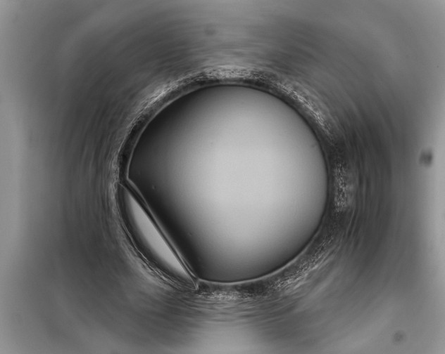X0000097950631200804071006