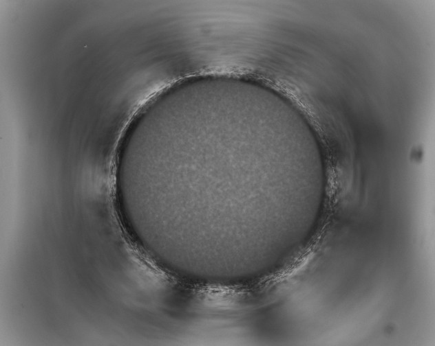 X0000097950632200804071006