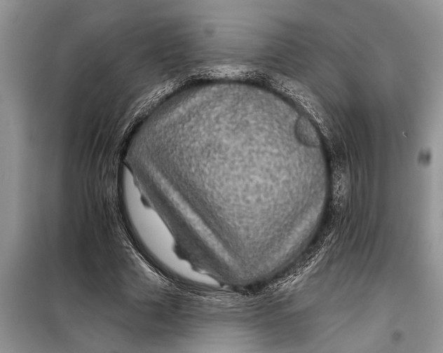 X0000097950633200804071006