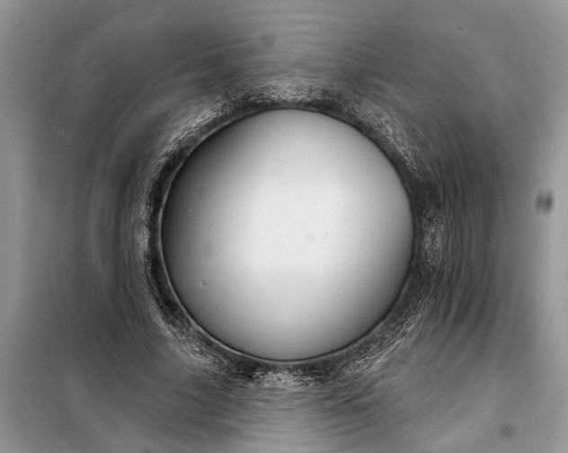 X0000097950635200804071006