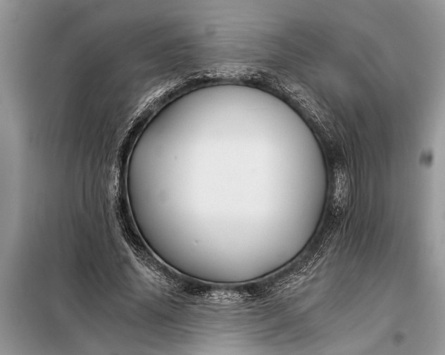X0000097950636200804071006