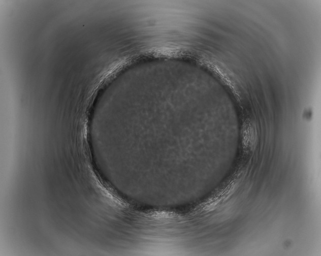 X0000097950637200804071006