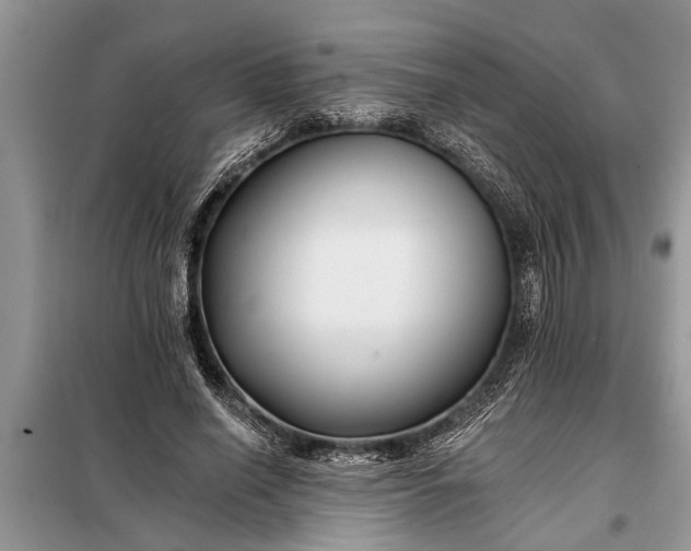 X0000097950638200804071006