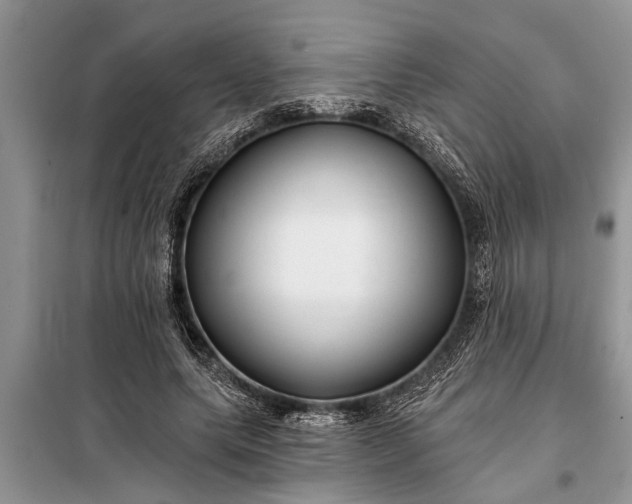 X0000097950639200804071006