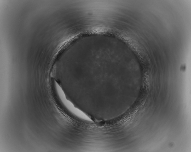 X0000097950640200804071006