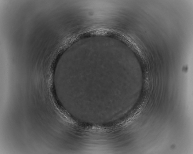 X0000097950641200804071006