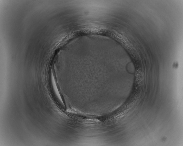 X0000097950642200804071006