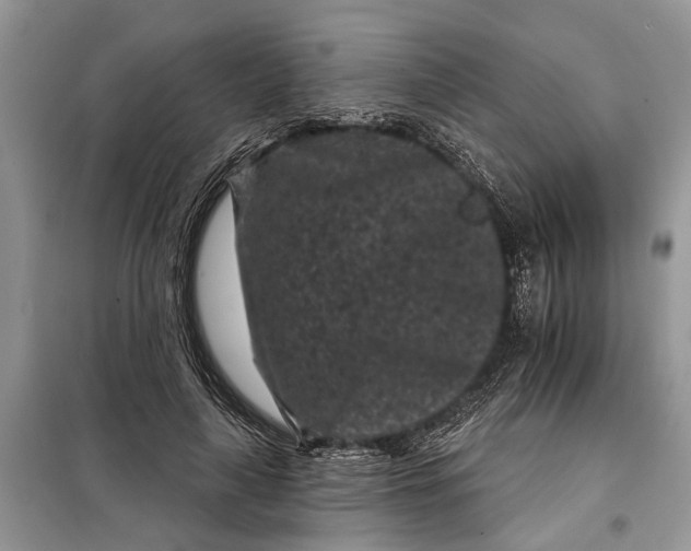 X0000097950643200804071006