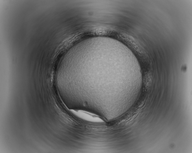 X0000097950645200804071006