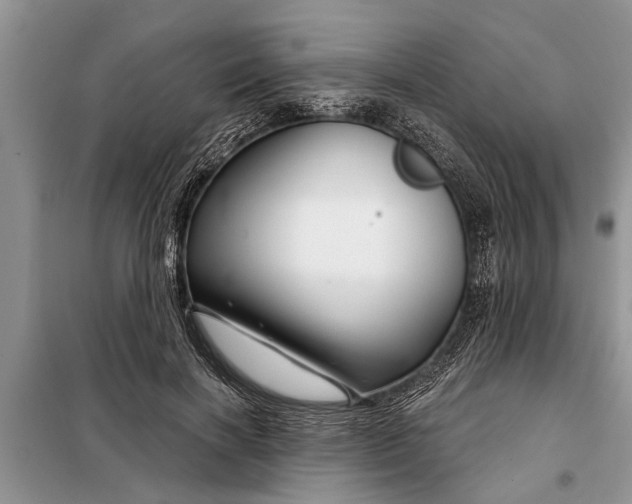 X0000097950646200804071006