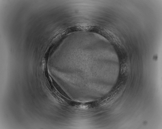 X0000097950647200804071006