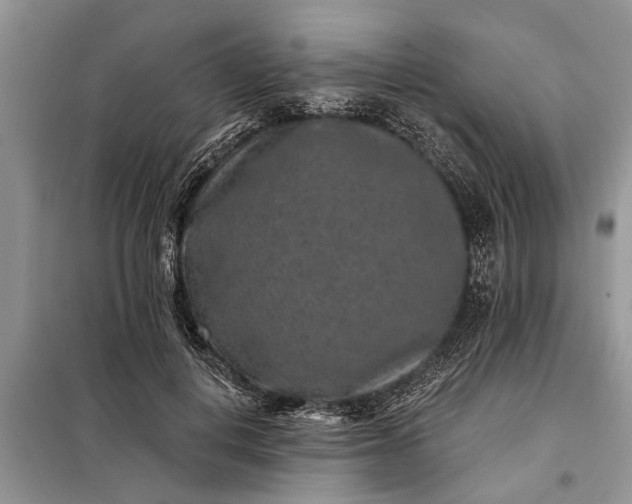 X0000097950648200804071006