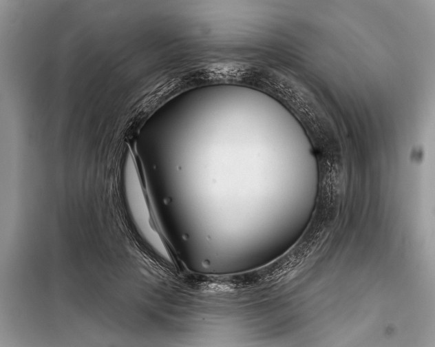 X0000097950649200804071006