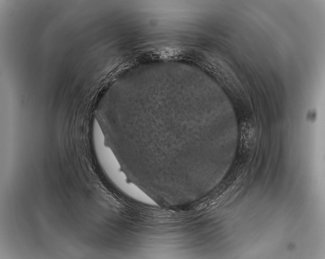 X0000097950650200804071006
