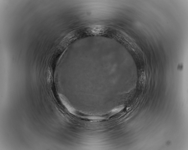 X0000097950651200804071006