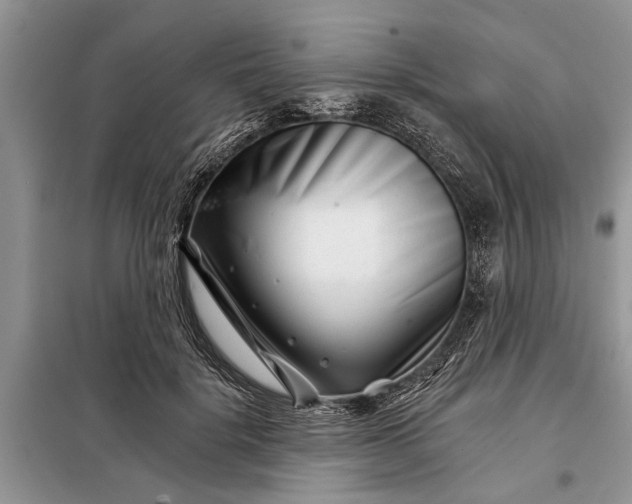 X0000097950652200804071006