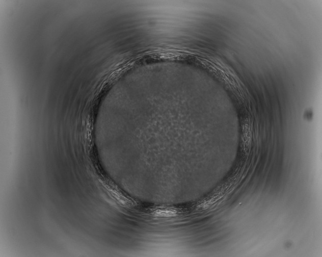 X0000097950653200804071006