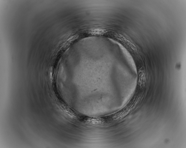 X0000097950655200804071006