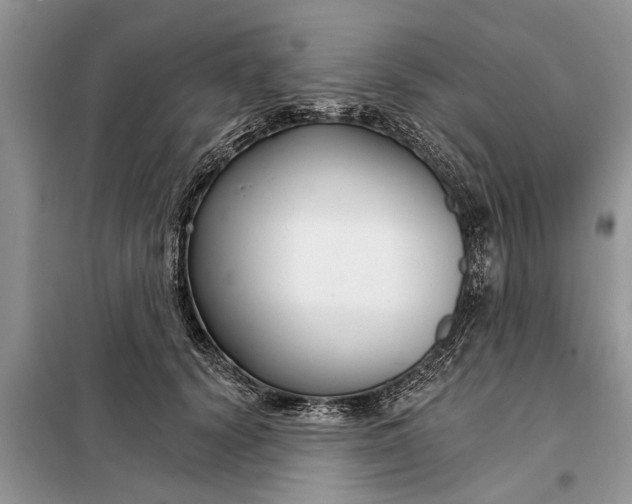 X0000097950656200804071006