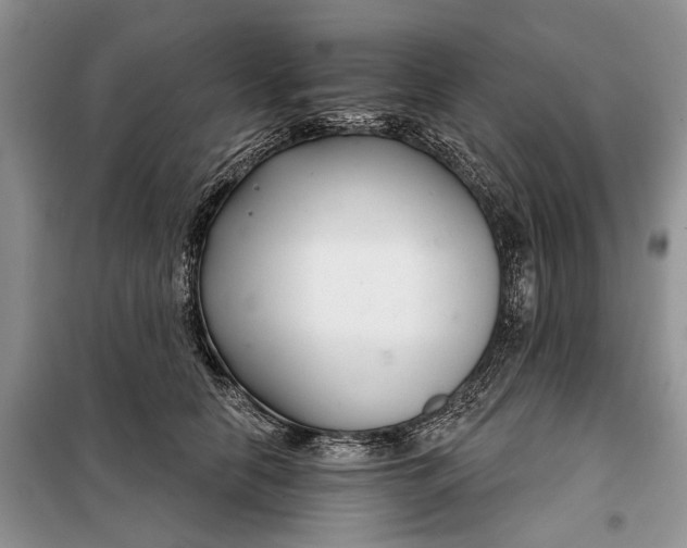 X0000097950658200804071006