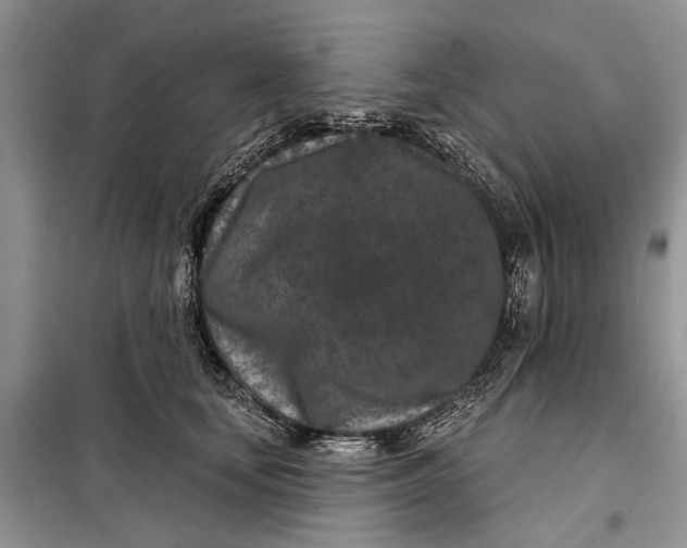 X0000097950659200804071006