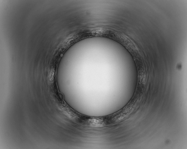 X0000097950660200804071006