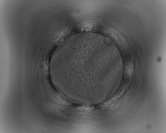 X0000097950661200804071006