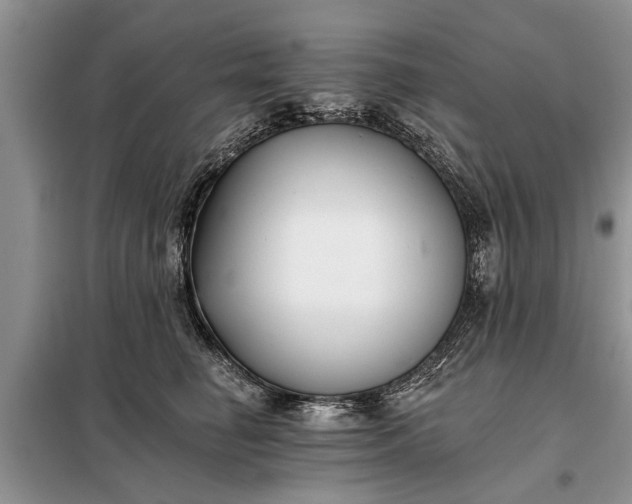 X0000097950662200804071006
