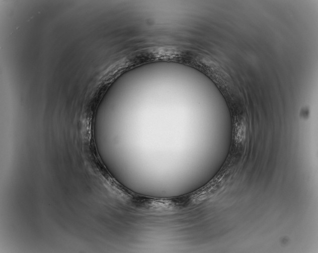 X0000097950666200804071006