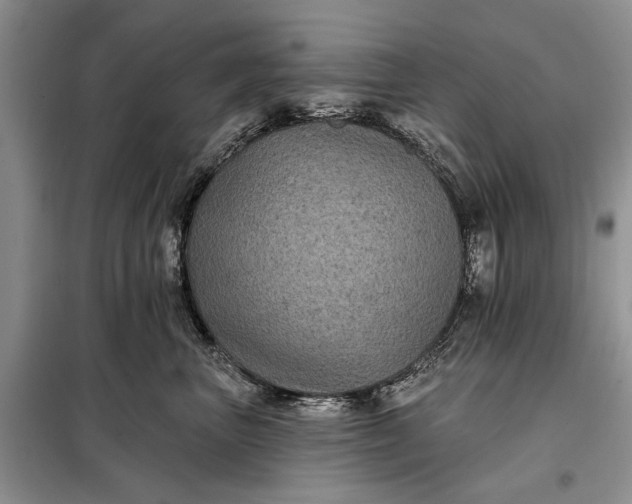 X0000097950667200804071006
