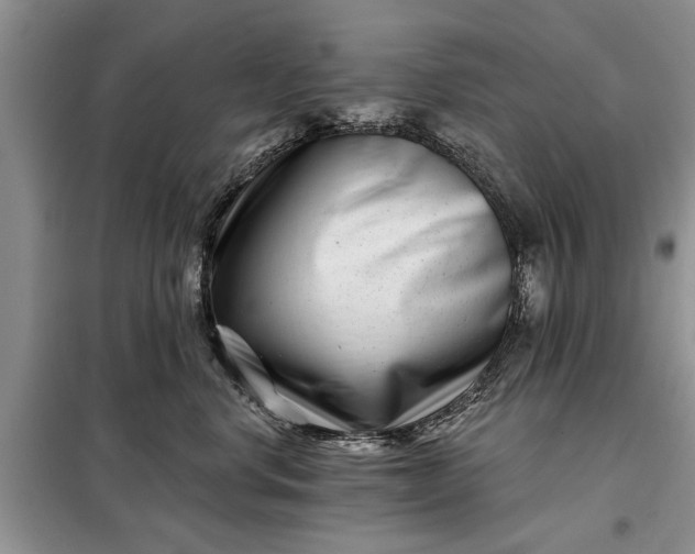X0000097950668200804071006
