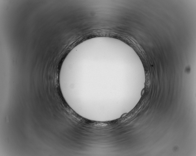 X0000097950669200804071006