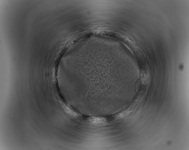 X0000097950670200804071006