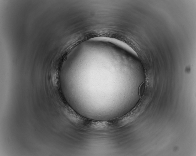 X0000097950671200804071006