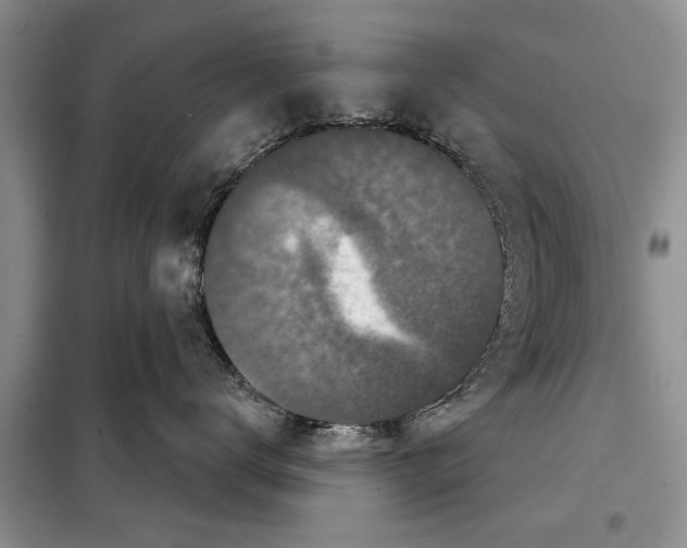 X0000097950672200804071006