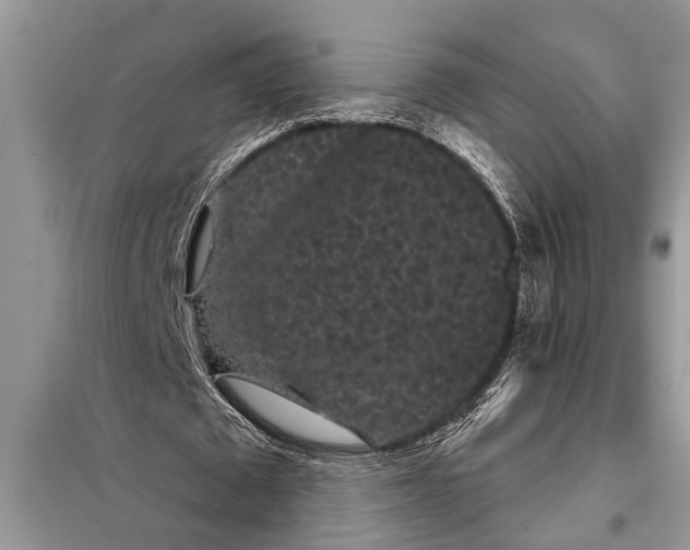 X0000097950673200804071006