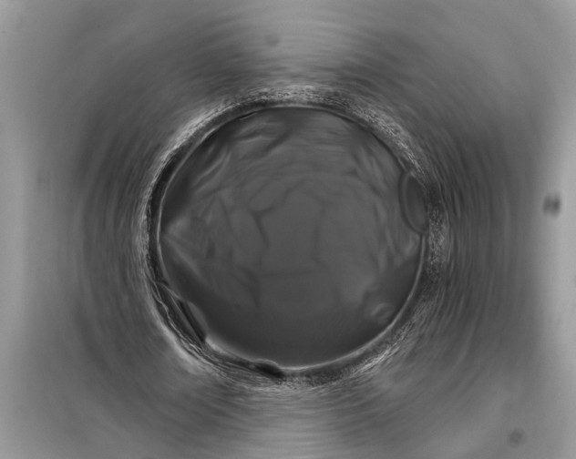 X0000097950674200804071006