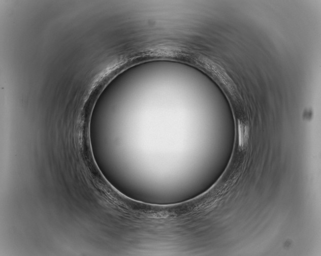 X0000097950675200804071005