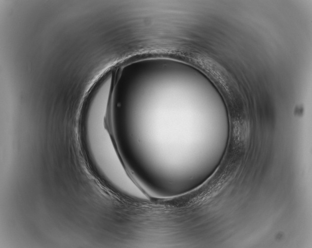 X0000097950676200804071005
