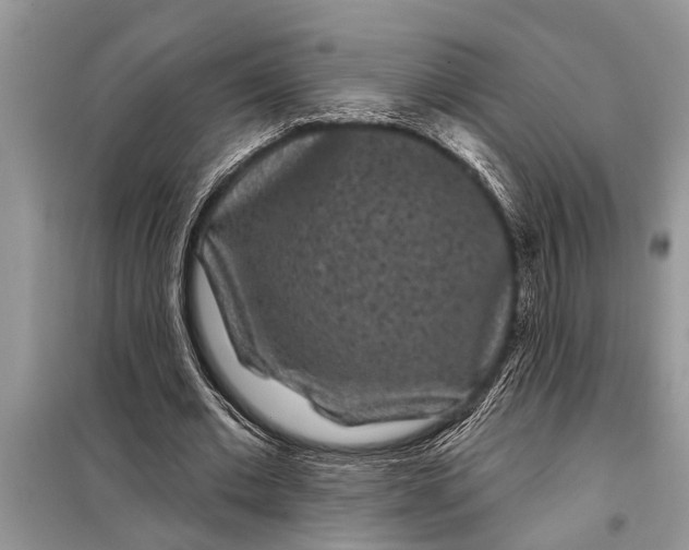 X0000097950677200804071005