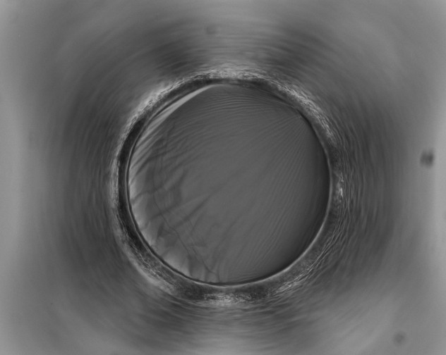 X0000097950678200804071005