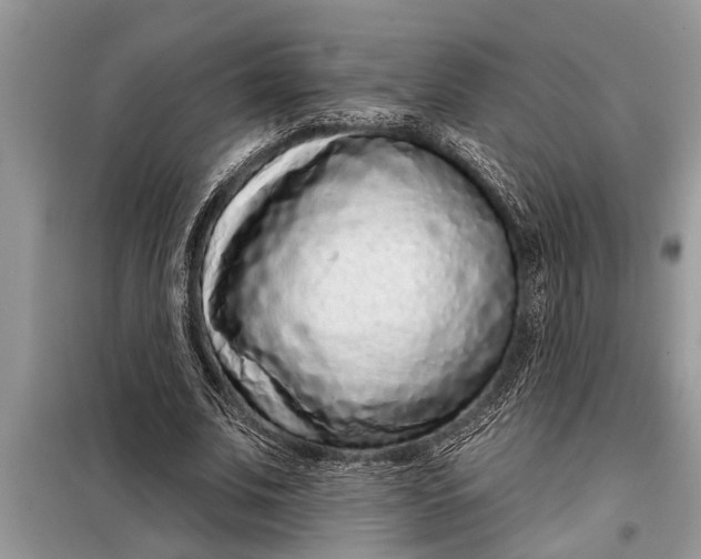 X0000097950679200804071005