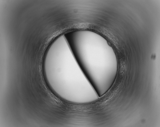 X0000097950681200804071005