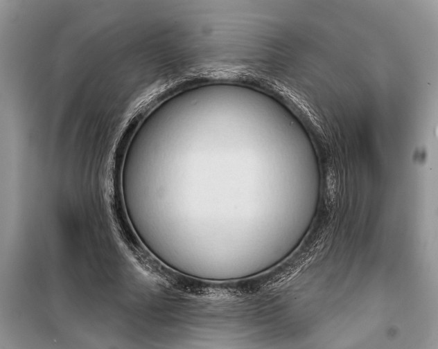 X0000097950682200804071005