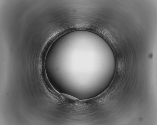 X0000097950684200804071005