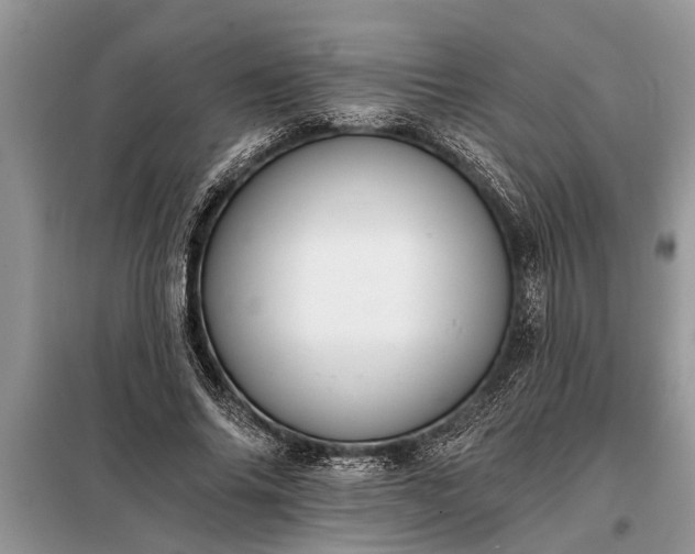 X0000097950686200804071005