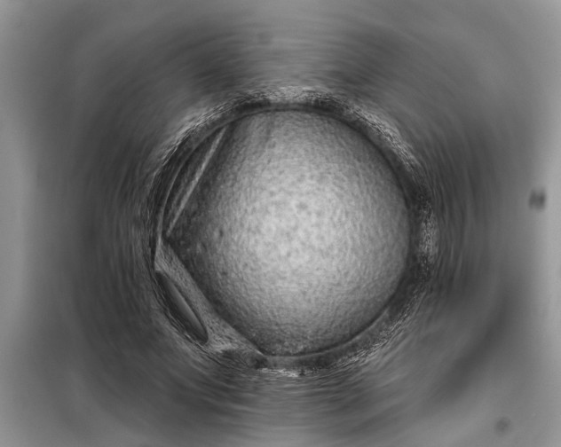 X0000097950687200804071005