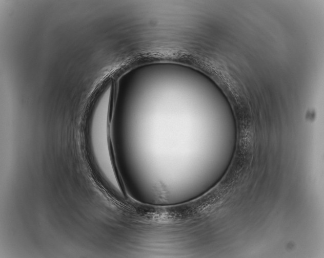 X0000097950688200804071005