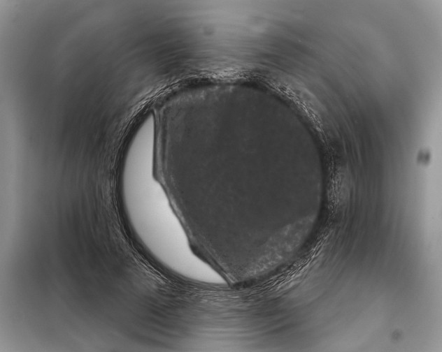 X0000097950689200804071005