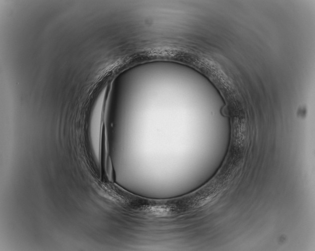 X0000097950692200804071005